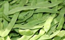 6種蛋白質來源 可替代的高蛋白食物大揭秘