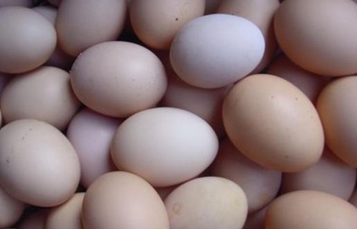 土雞蛋更有營(yíng)養(yǎng)嗎?未必!