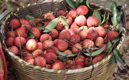 經常胃痛怎么辦?飲食需注意3點