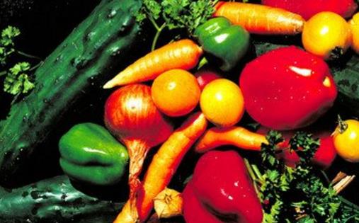 排便時(shí)是蹲著好還是坐著好 恢復(fù)排便的飲食小方法