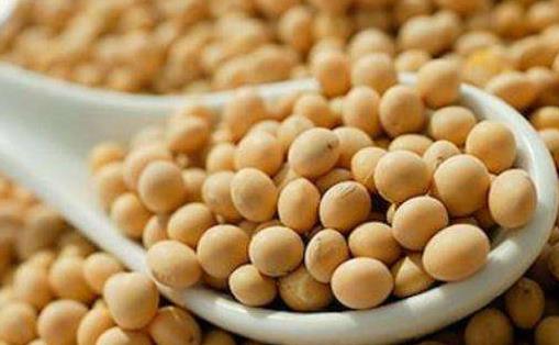 合理的飲食方法能達到減肥目的  能減肥的蔬菜