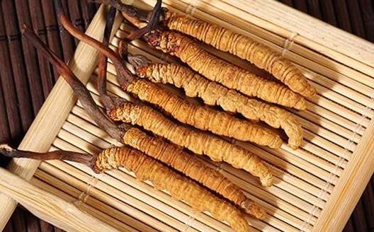 你的免疫力低 可以提高免疫力的食物及中藥材