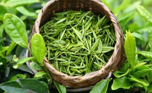 每天養生 多吃這些食物可以降血脂