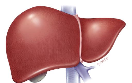 身體2癢2痛臟可能受損了 養肝牢記一二三讓肝好起來