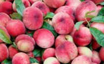 果中皇后營養又美味降壓抗疲勞 桃上細絨毛清洗方法