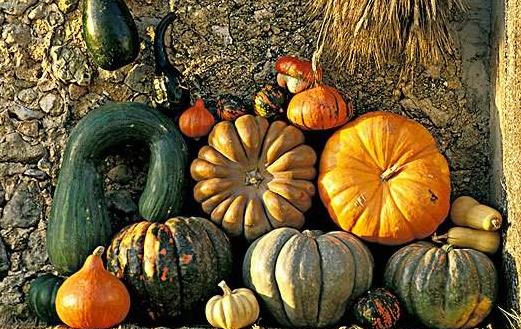 趁熱吃帶來的健康危機(jī) 推薦12大頂級(jí)抗癌食物