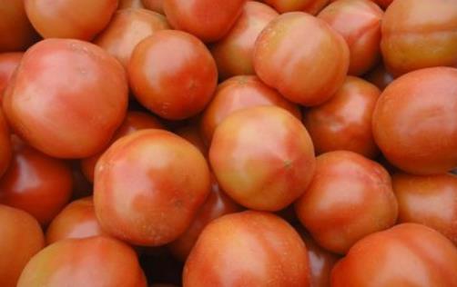 西紅柿到底生吃好還是做菜好？番茄醬等番茄制品也一樣有