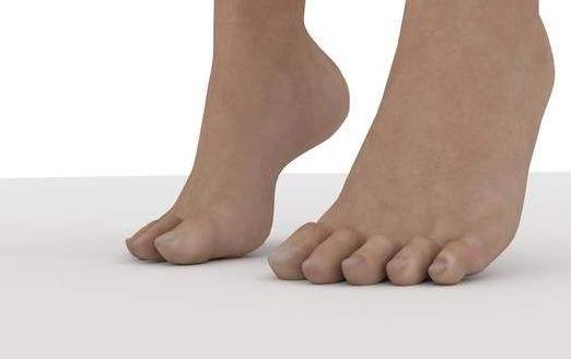 每天掂一掂腳跟 健康就一點一滴積累來了