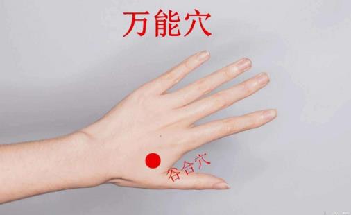 人體與生帶有自強(qiáng)的按鈕 推拿按摩4大穴位強(qiáng)身健體