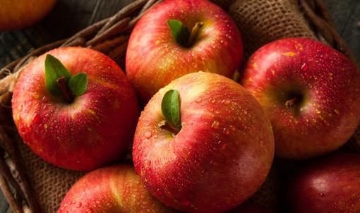 敲打經(jīng)絡(luò)養(yǎng)生 推薦幾個(gè)新潮排毒方法