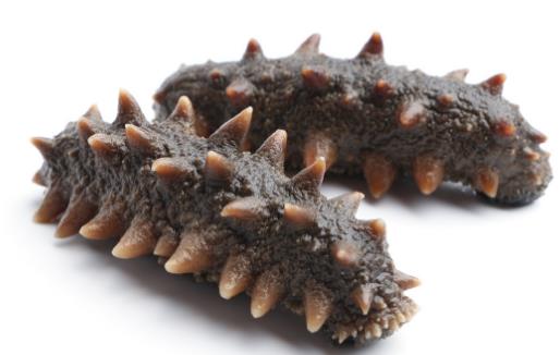 日常飲食調理 提高人體免疫能力的最理想方法 