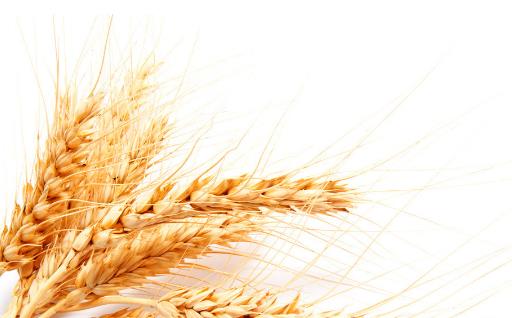 五谷雜糧算不錯的補藥 不適合吃雜糧的人群