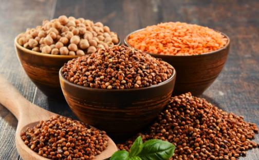 五谷雜糧算不錯的補藥 不適合吃雜糧的人群