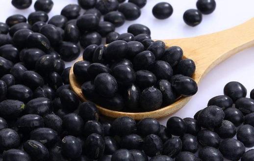 黑豆是很好的肌膚美容之品 黑豆最營養搭配
