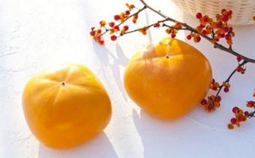 柿子醋的10個(gè)功效與作用 食用柿子醋的禁忌