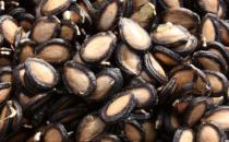 瓜子仁有什么營養價值 瓜子的正確食用方法揭秘