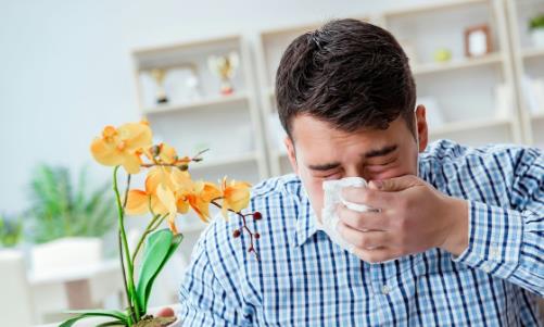 鼻炎的癥狀 10個小妙招治鼻炎