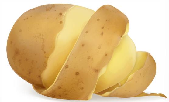 發芽的土豆能不能吃 土豆的正確儲藏技巧減少土豆發芽幾率