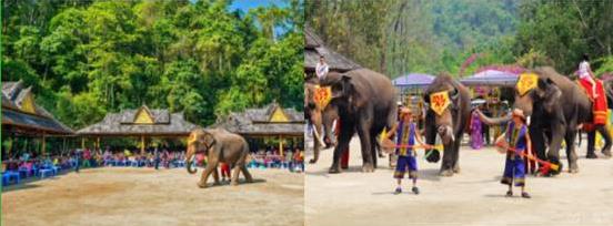 七彩游記西雙版納，意外前往緬甸小勐拉