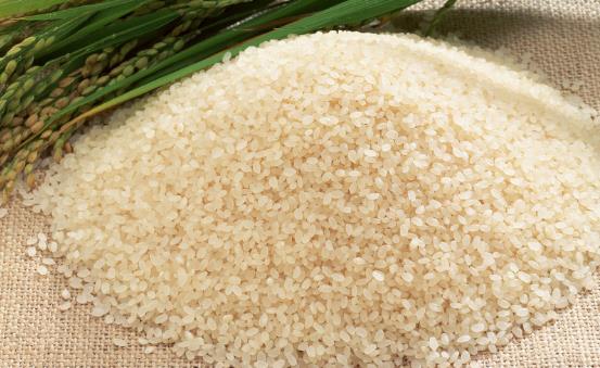 影響大米食用效果的五個(gè)重要因素 四招識(shí)別致癌大米