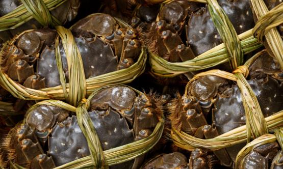 關于螃蟹的謠言你信過嗎 正確食用螃蟹放心享受螃蟹盛宴