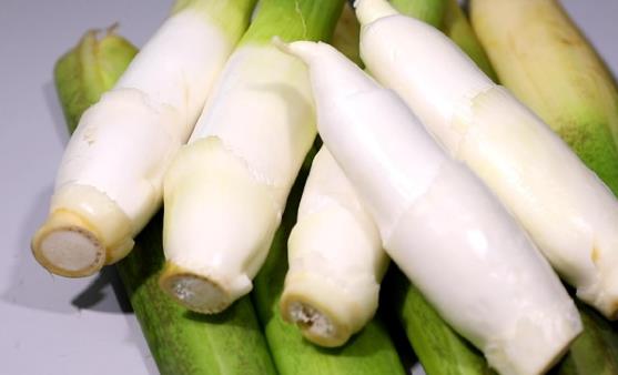 茭白挑選烹調(diào)皆有訣竅 清淡可口有解酒醒酒的功效