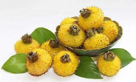 刺梨有維生素C之王的稱號 食用刺梨的八種好處 