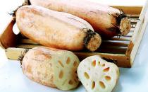 蓮藕開胃清熱滋補養身 推薦四款蓮藕食療方